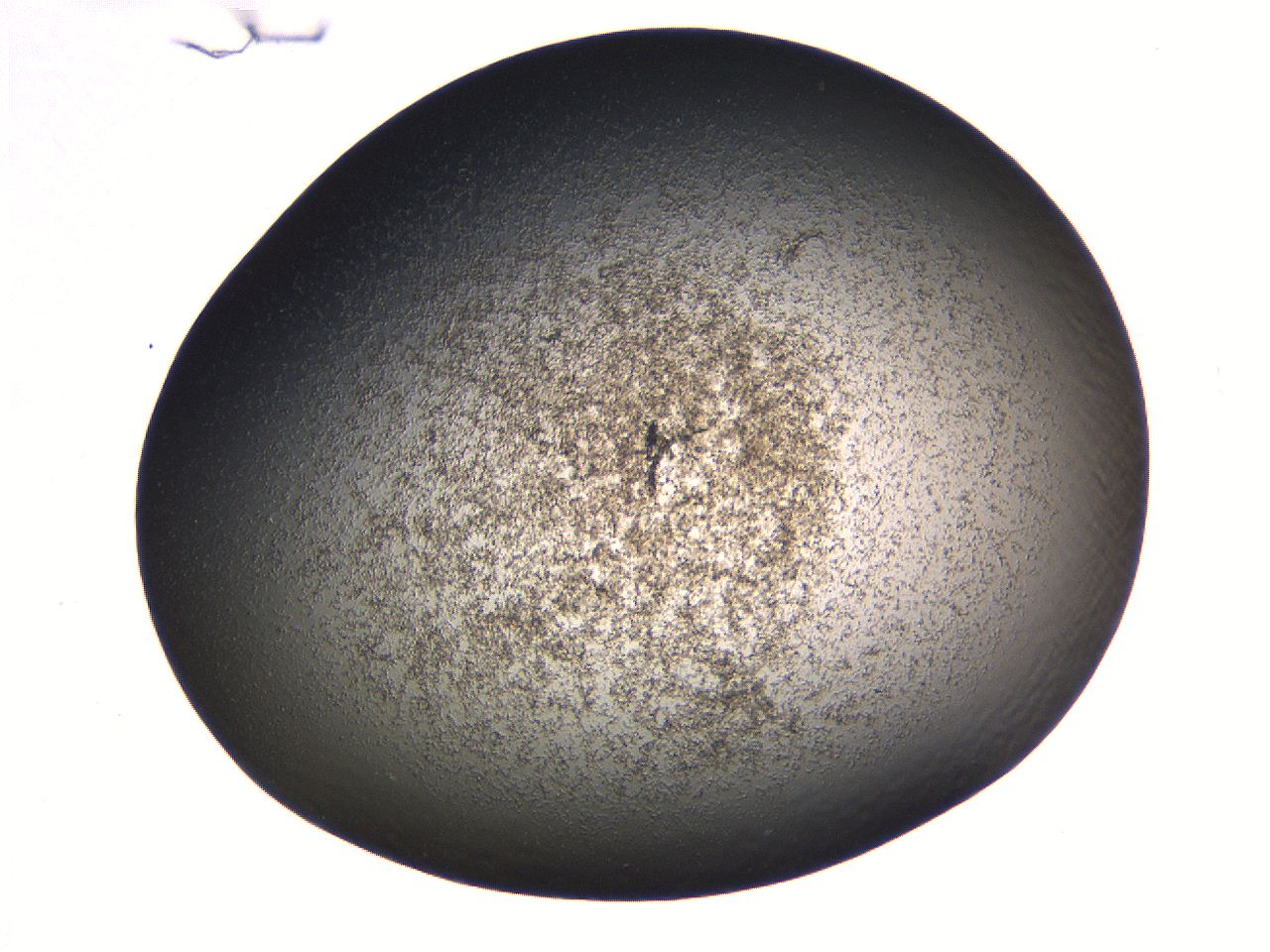 069b_G2_ImagerDefaults_3.jpg