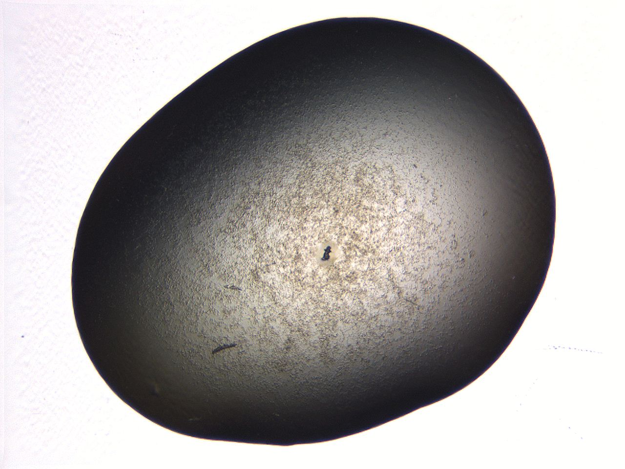 069b_G4_ImagerDefaults_3.jpg
