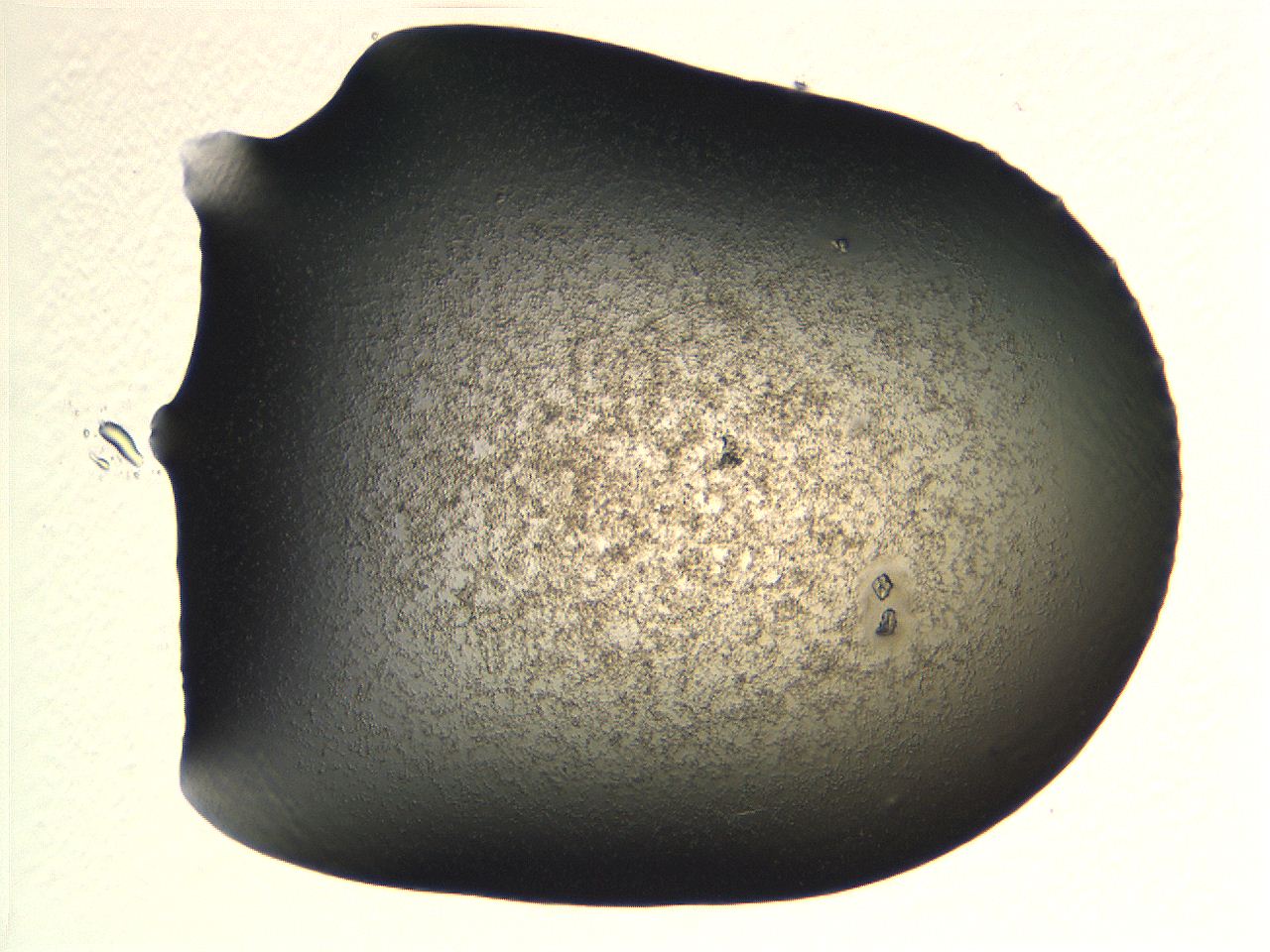 069b_G6_ImagerDefaults_3.jpg
