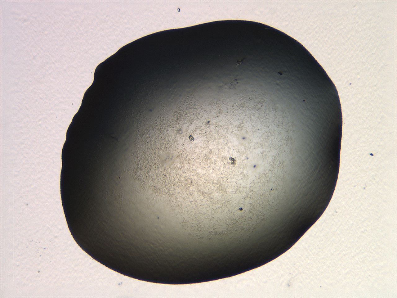 069b_G7_ImagerDefaults_3.jpg