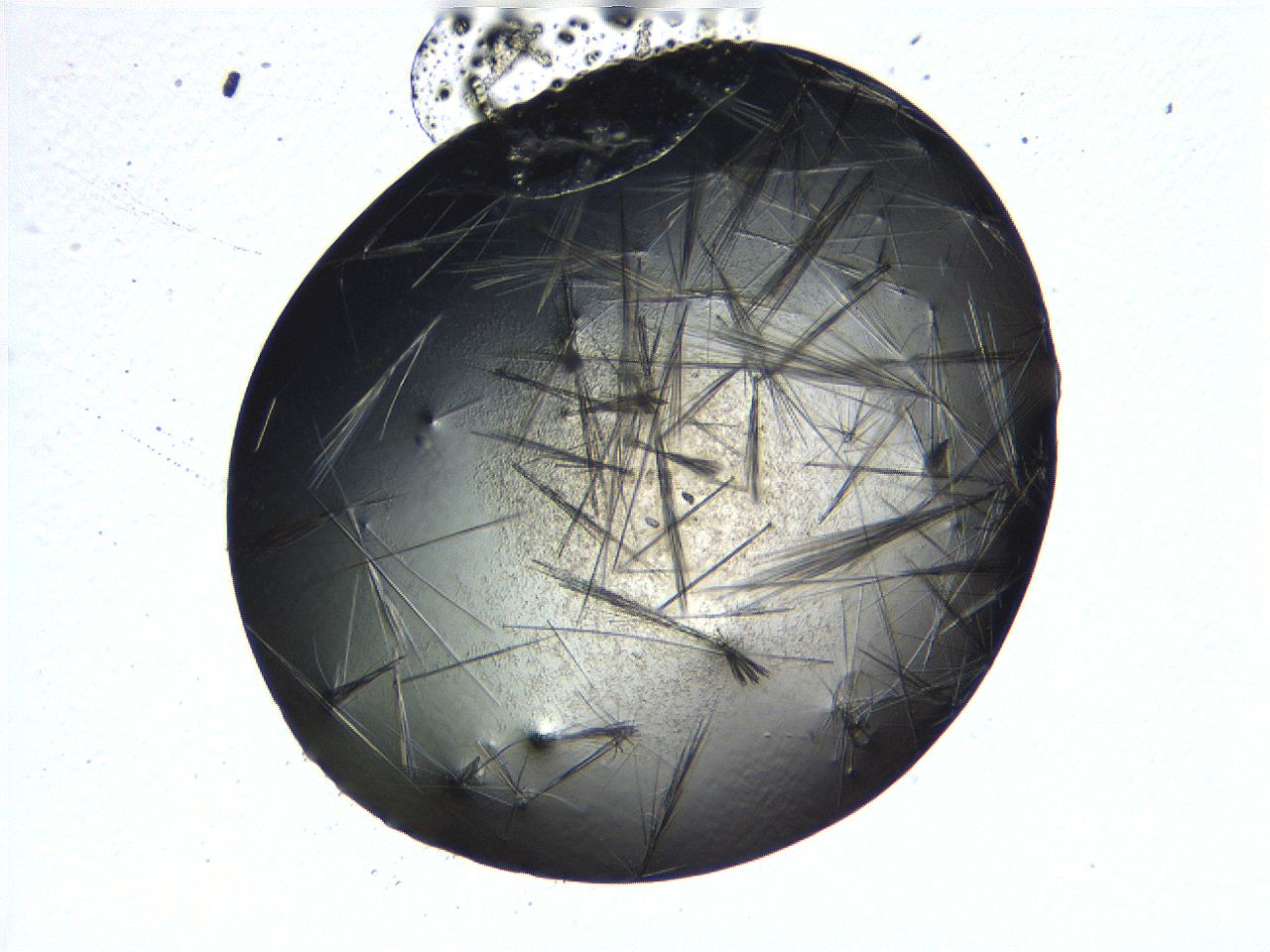 069b_G10_ImagerDefaults_7.jpg