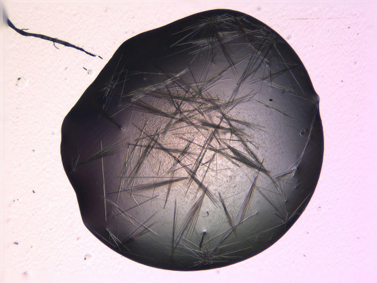 069b_G11_ImagerDefaults_7.jpg