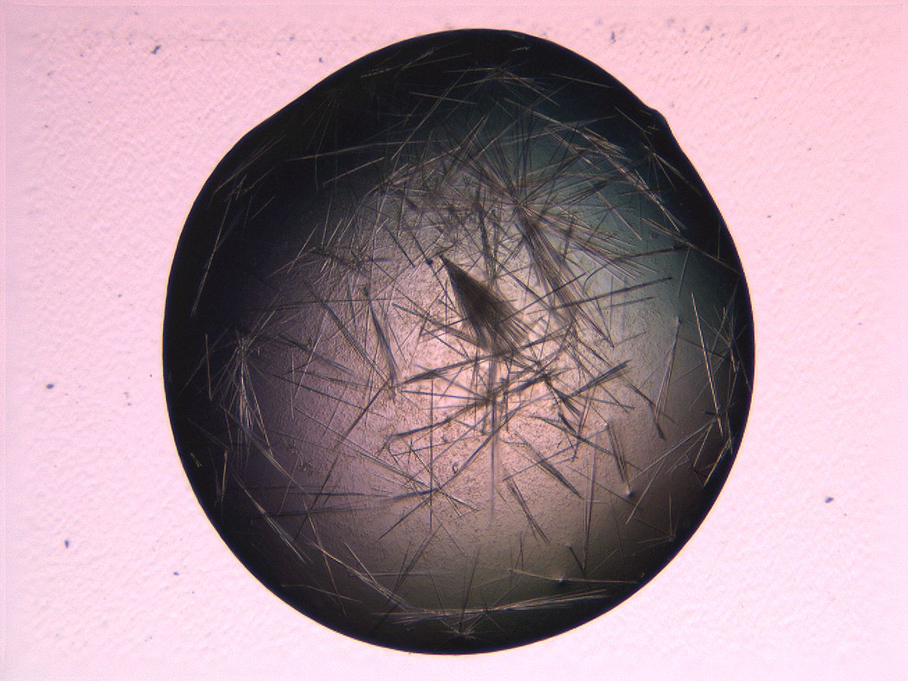 069b_G12_ImagerDefaults_7.jpg