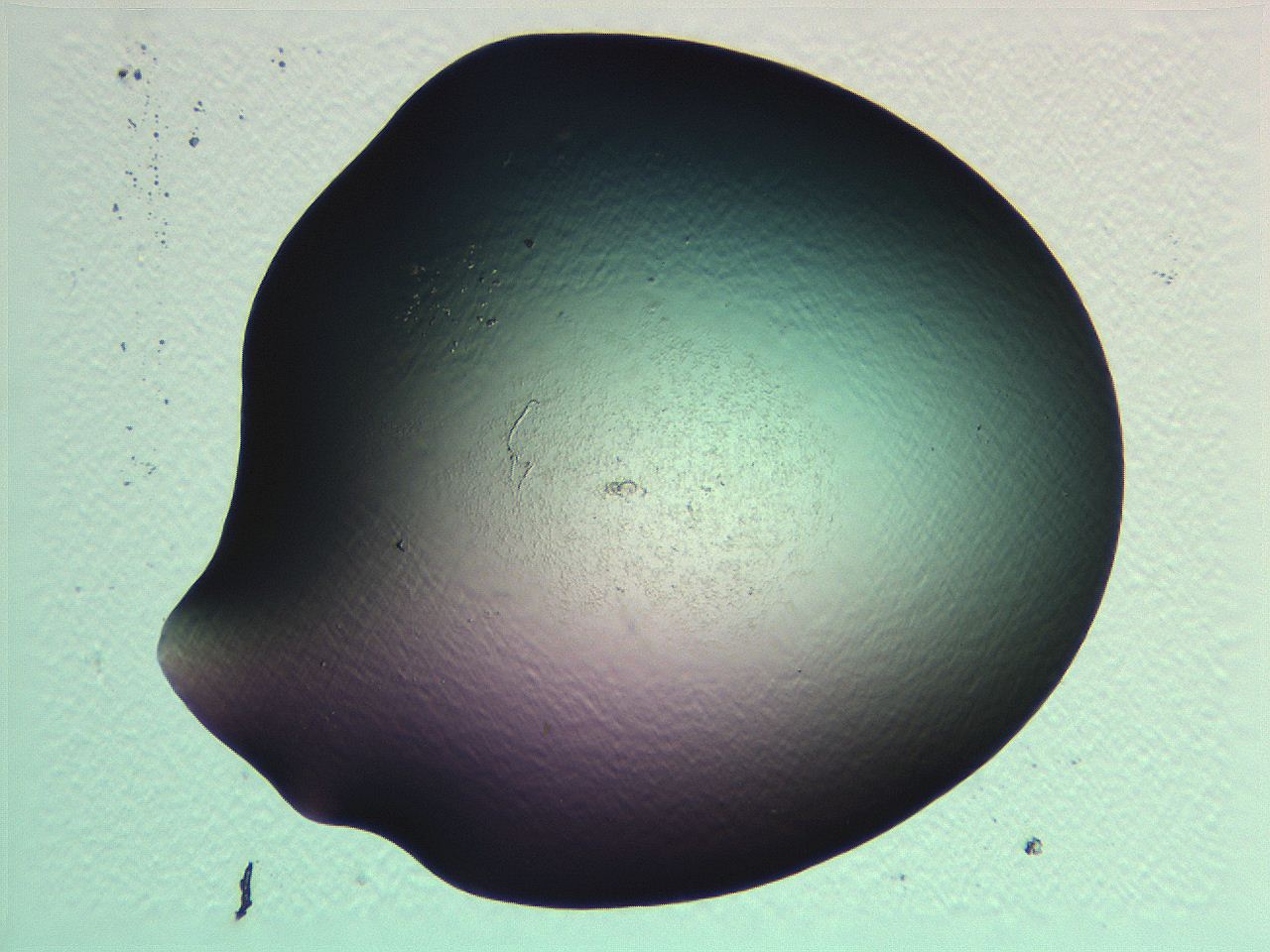 069b_H1_ImagerDefaults_0.jpg