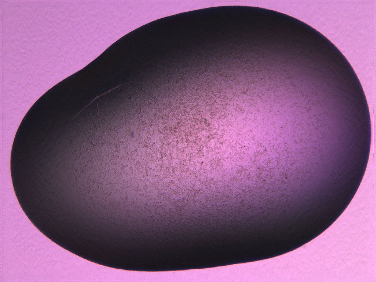 069b_H5_ImagerDefaults_3.jpg