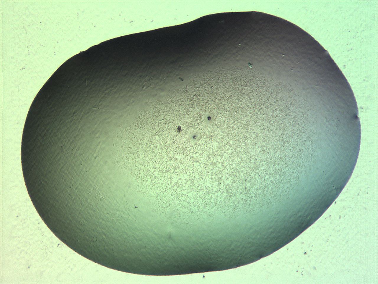 069b_H11_ImagerDefaults_3.jpg