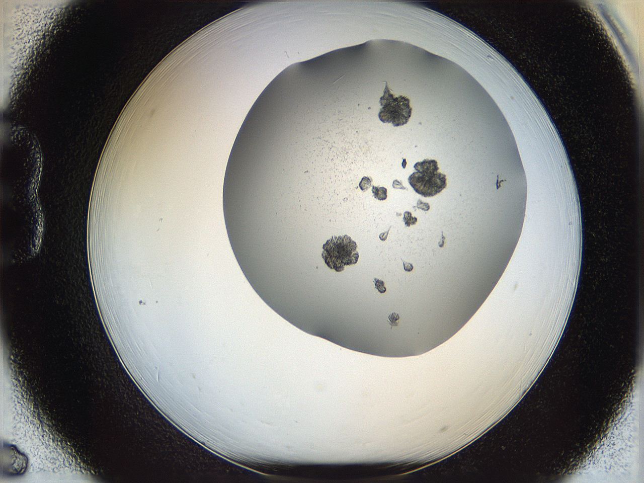 069c_B6_ImagerDefaults_6.jpg