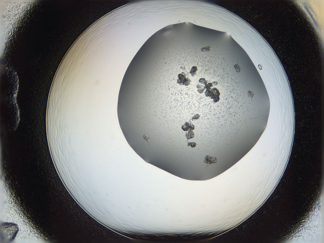 069c_B7_ImagerDefaults_6.jpg