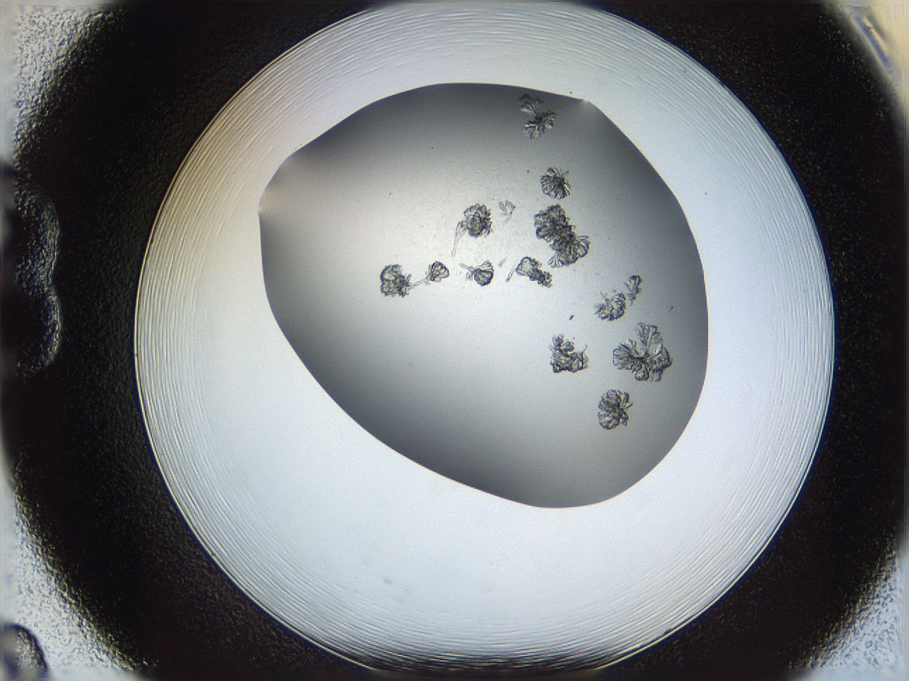 069c_B8_ImagerDefaults_6.jpg