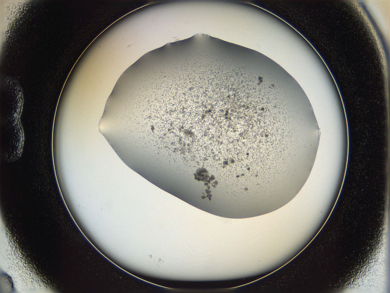 069c_B3_ImagerDefaults_7.jpg