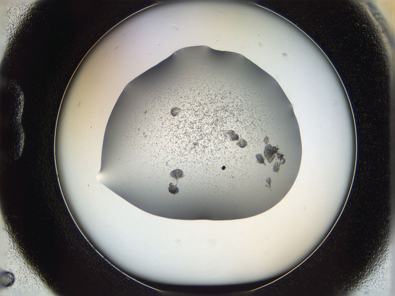 069c_B5_ImagerDefaults_6.jpg