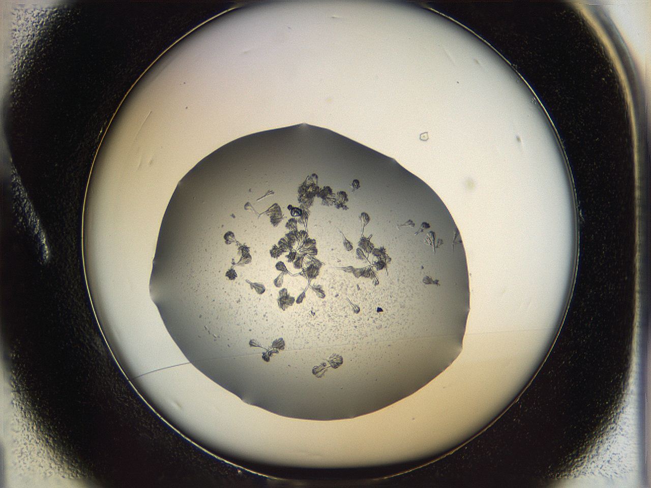 069c_A1_ImagerDefaults_6.jpg