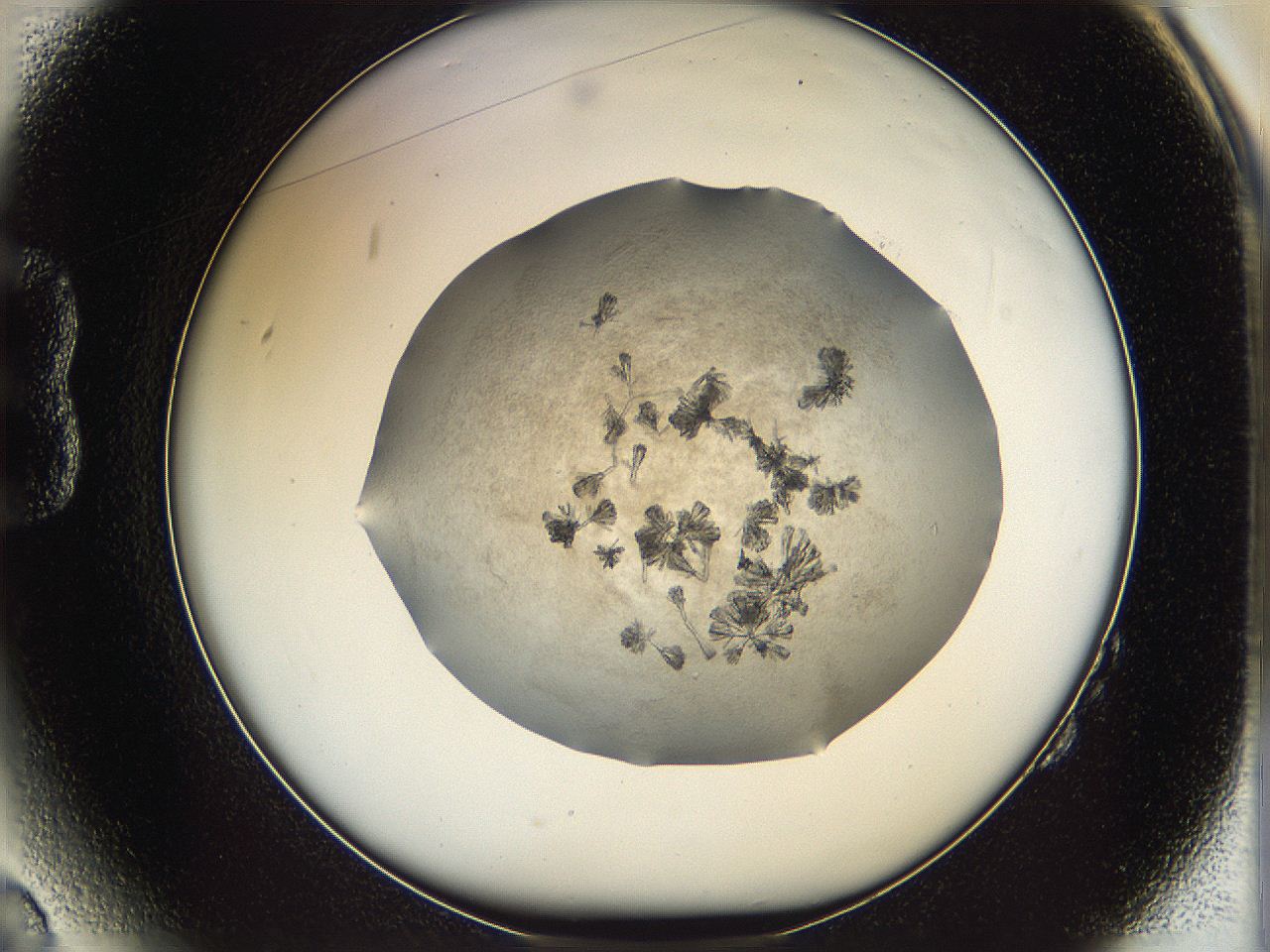 069c_B2_ImagerDefaults_8.jpg