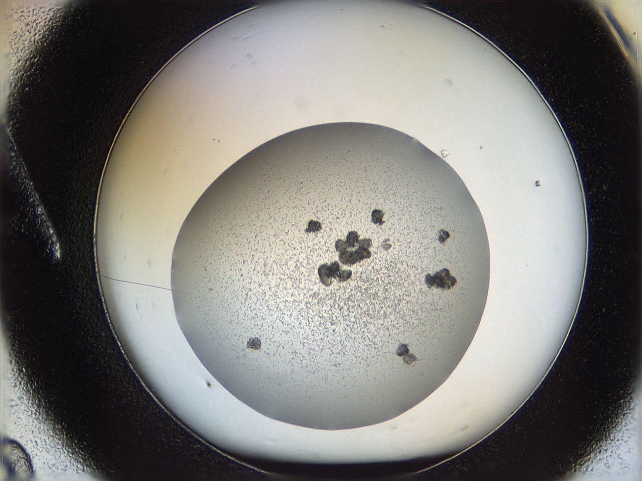 069c_A8_ImagerDefaults_6.jpg