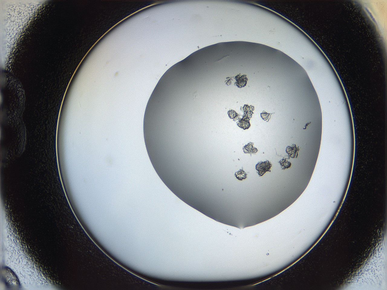 069c_B9_ImagerDefaults_6.jpg