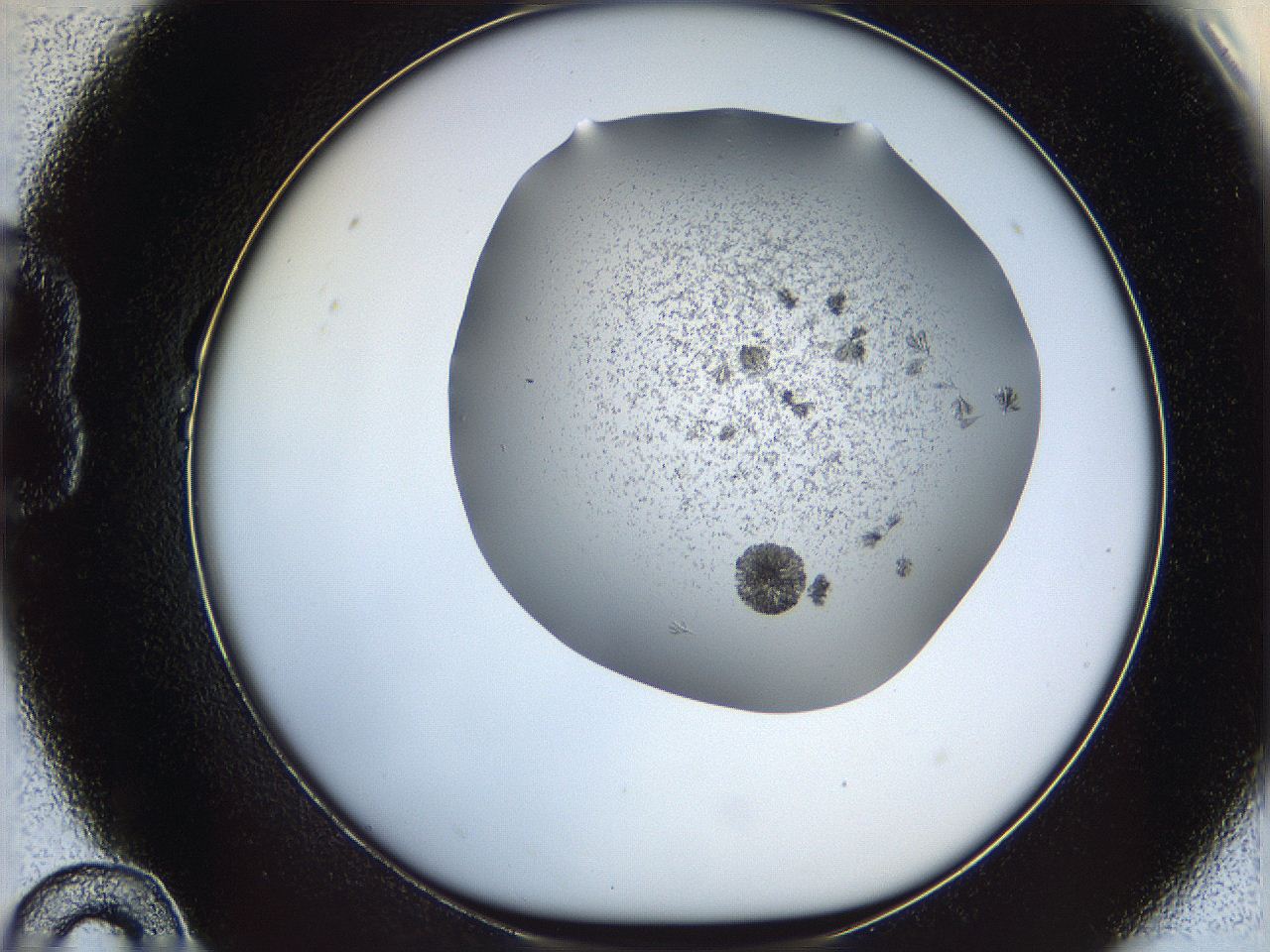 069c_B10_ImagerDefaults_6.jpg