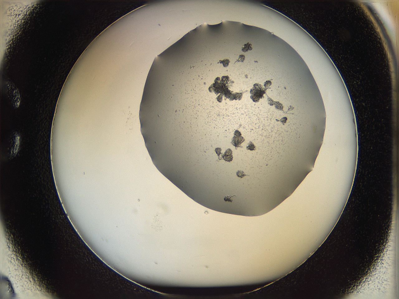 069c_C2_ImagerDefaults_6.jpg