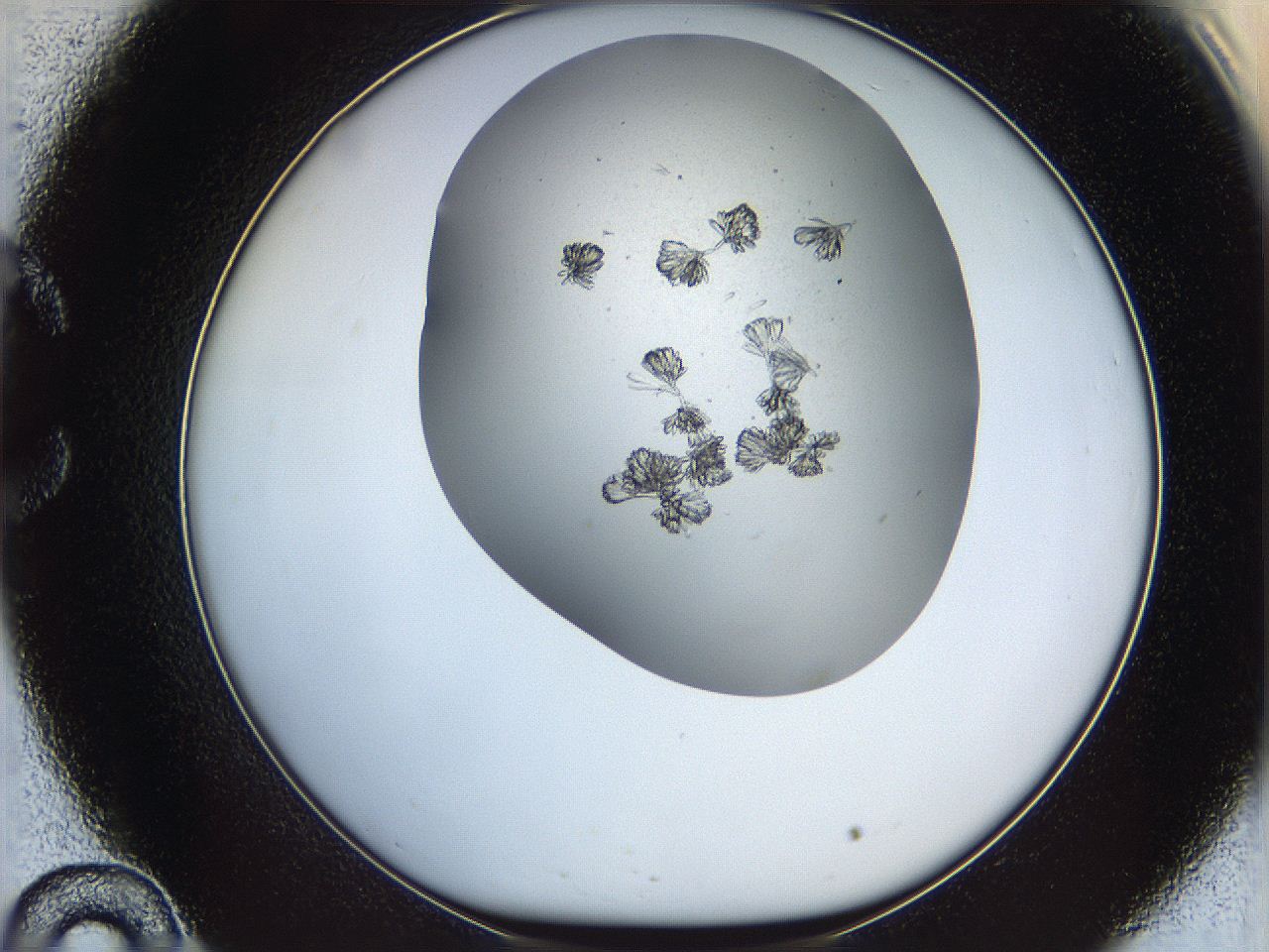 069c_C10_ImagerDefaults_6.jpg