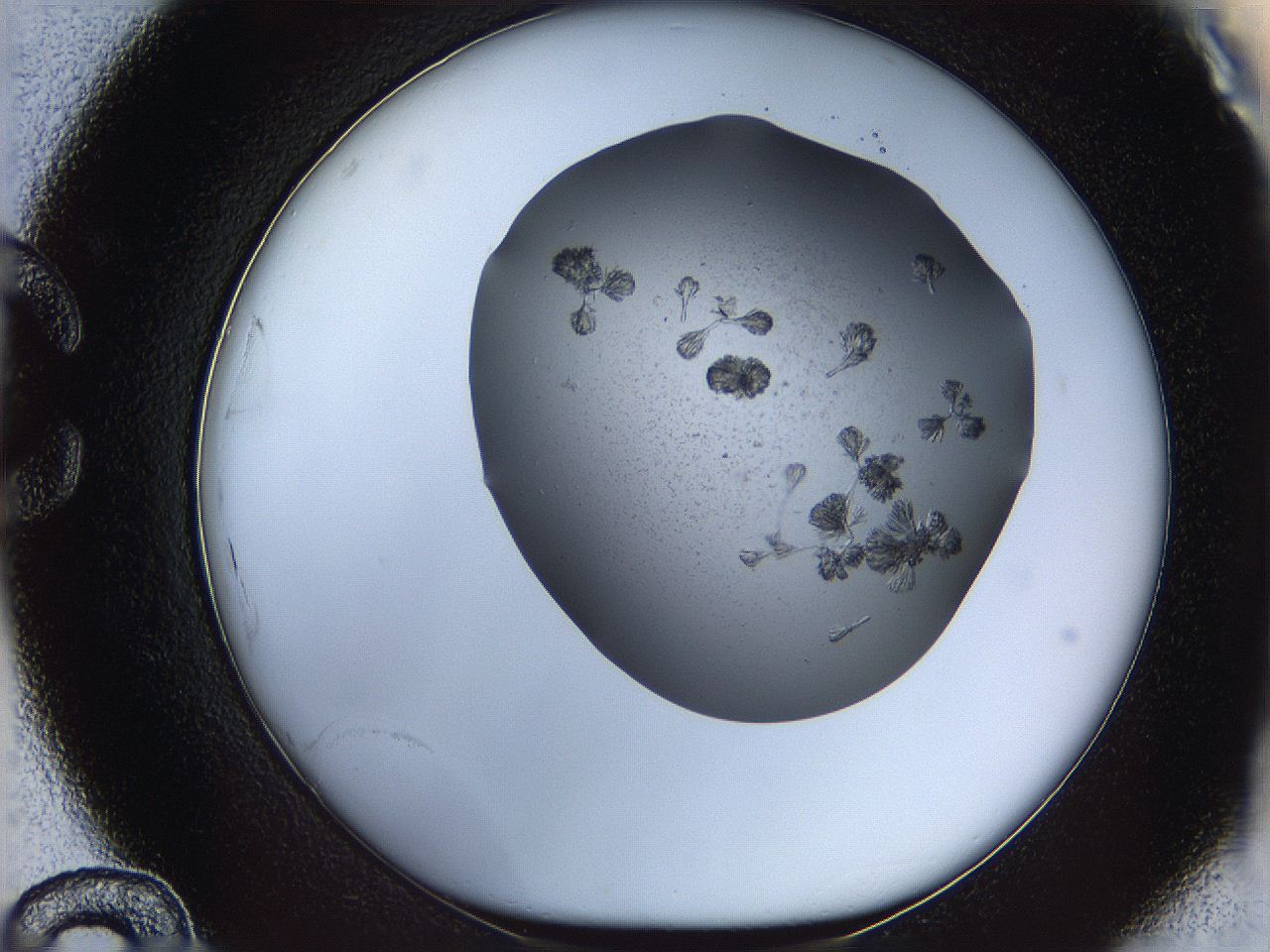 069c_C12_ImagerDefaults_6.jpg
