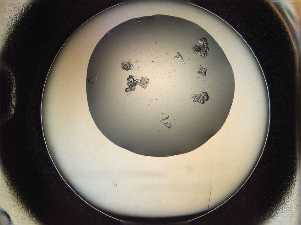 069c_D2_ImagerDefaults_6.jpg