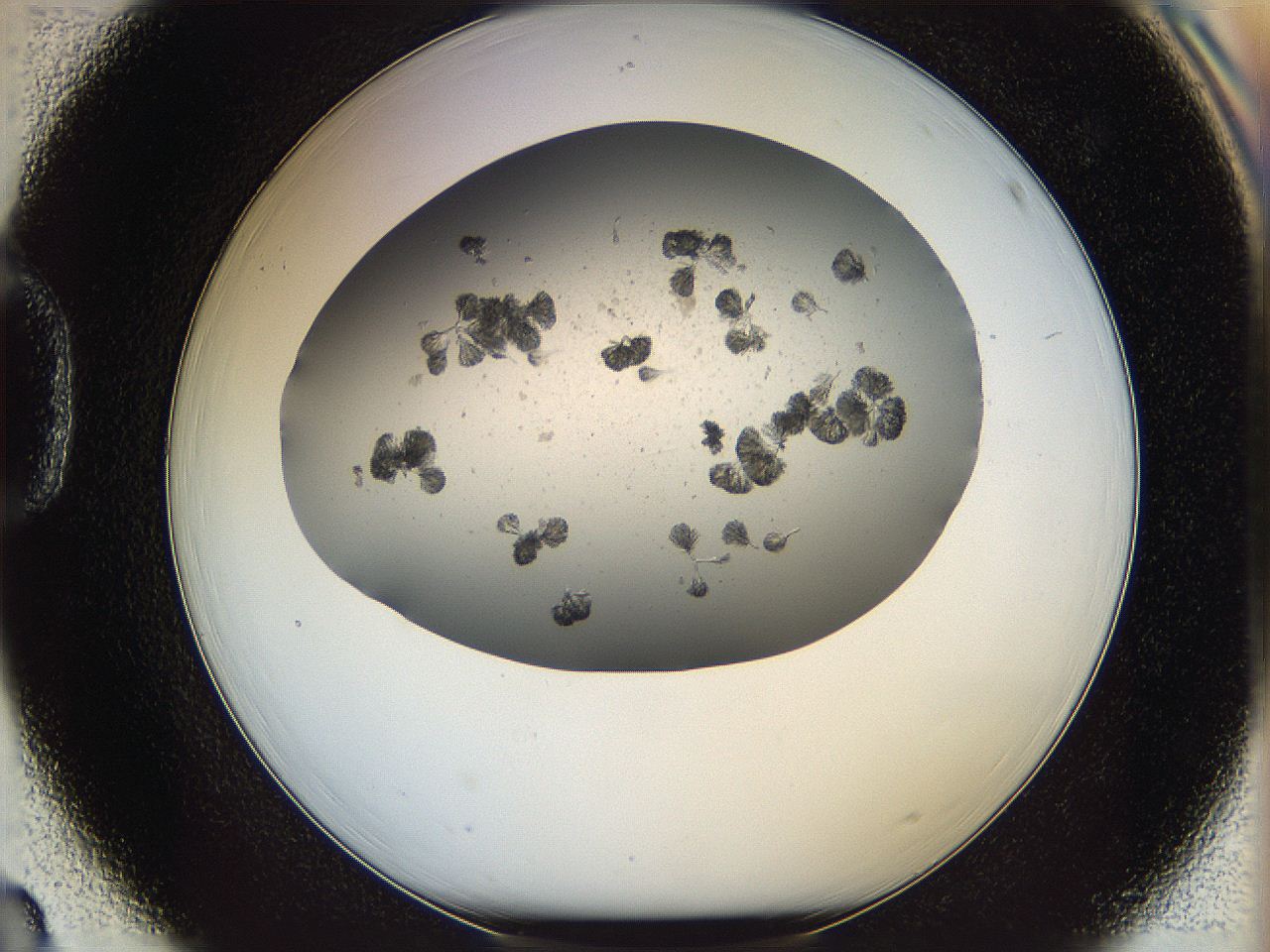 069c_D3_ImagerDefaults_6.jpg
