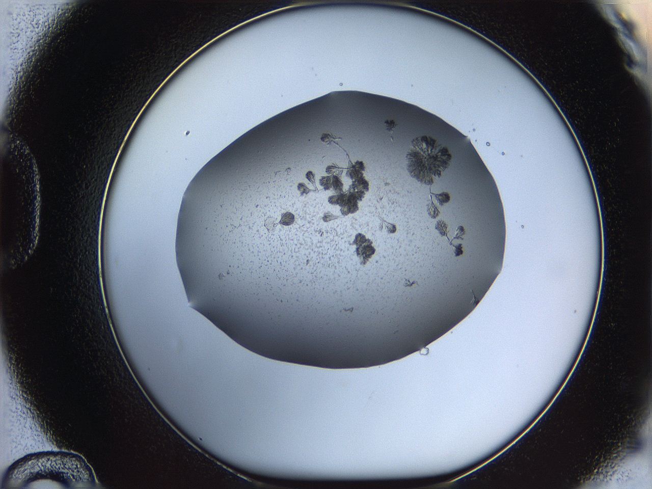 069c_D12_ImagerDefaults_6.jpg