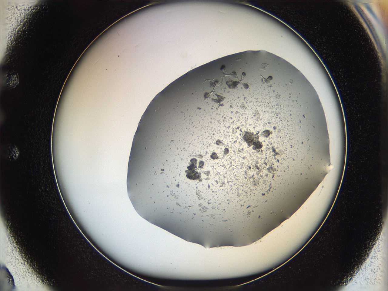 069c_E2_ImagerDefaults_6.jpg