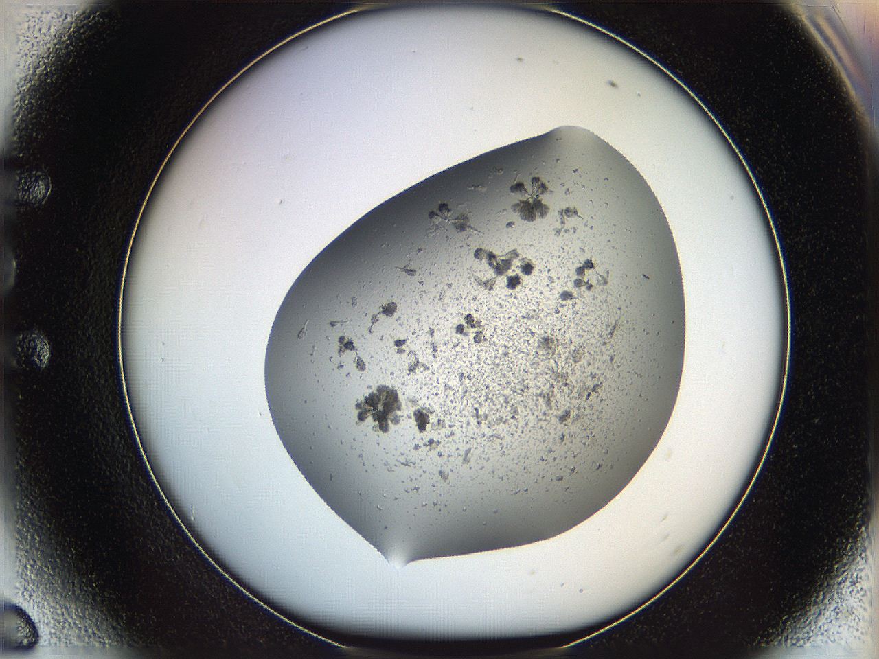 069c_E6_ImagerDefaults_6.jpg