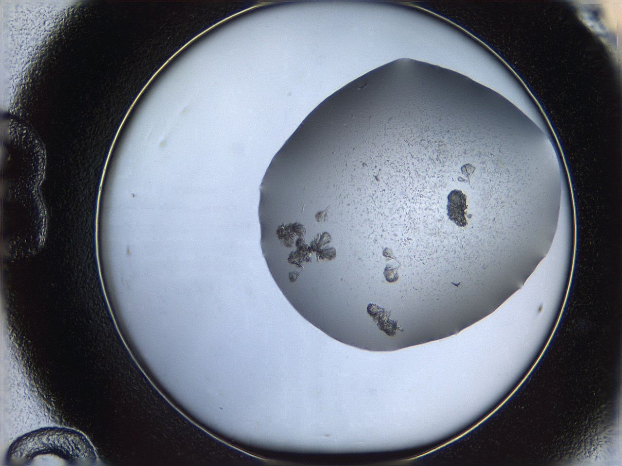 069c_B12_ImagerDefaults_6.jpg
