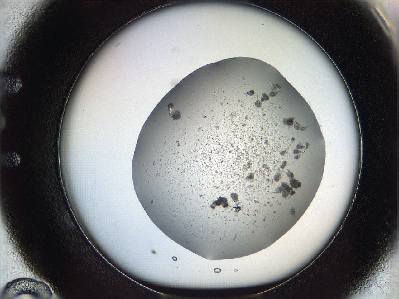 069c_E10_ImagerDefaults_6.jpg