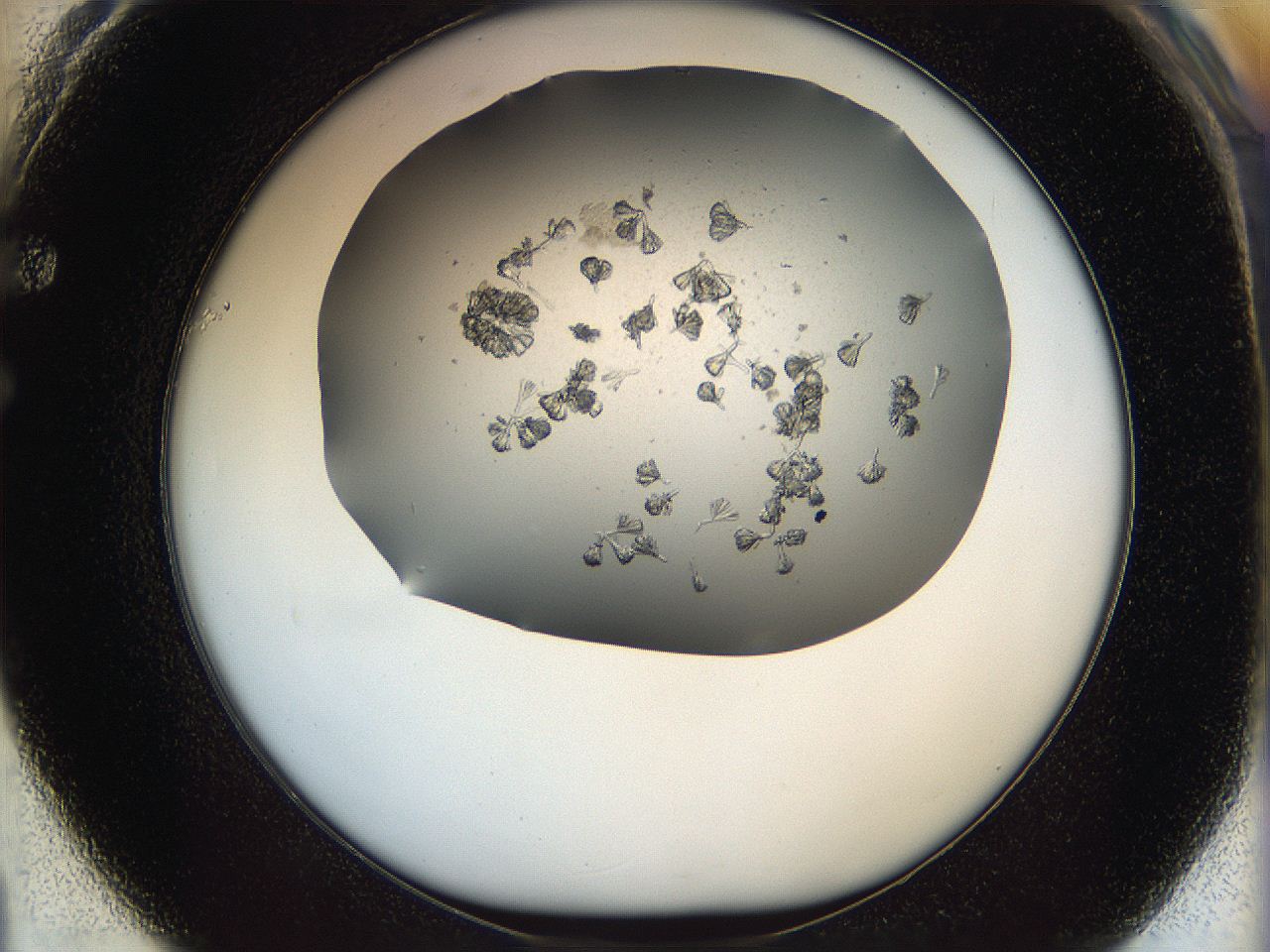 069c_F1_ImagerDefaults_6.jpg