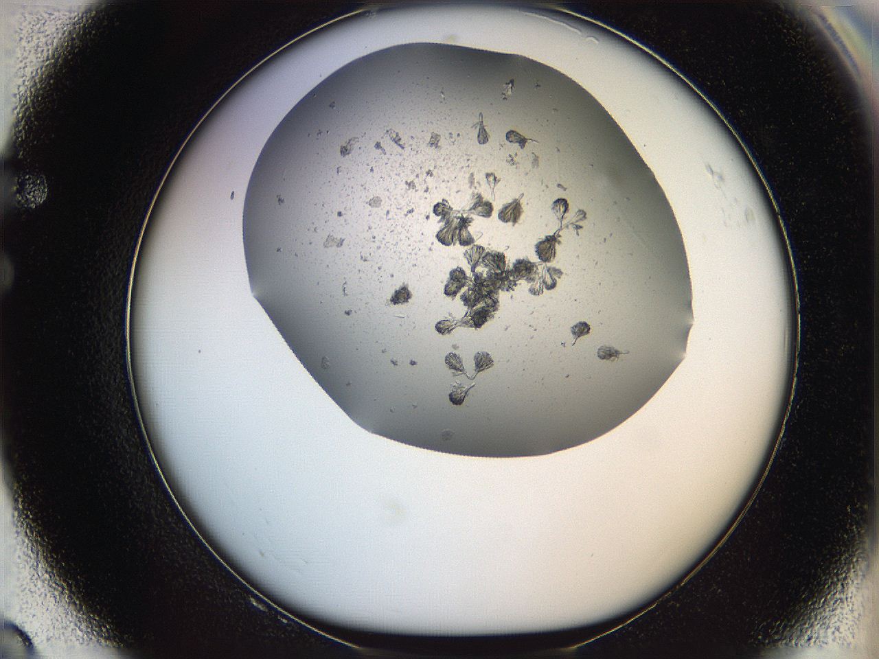 069c_F8_ImagerDefaults_6.jpg