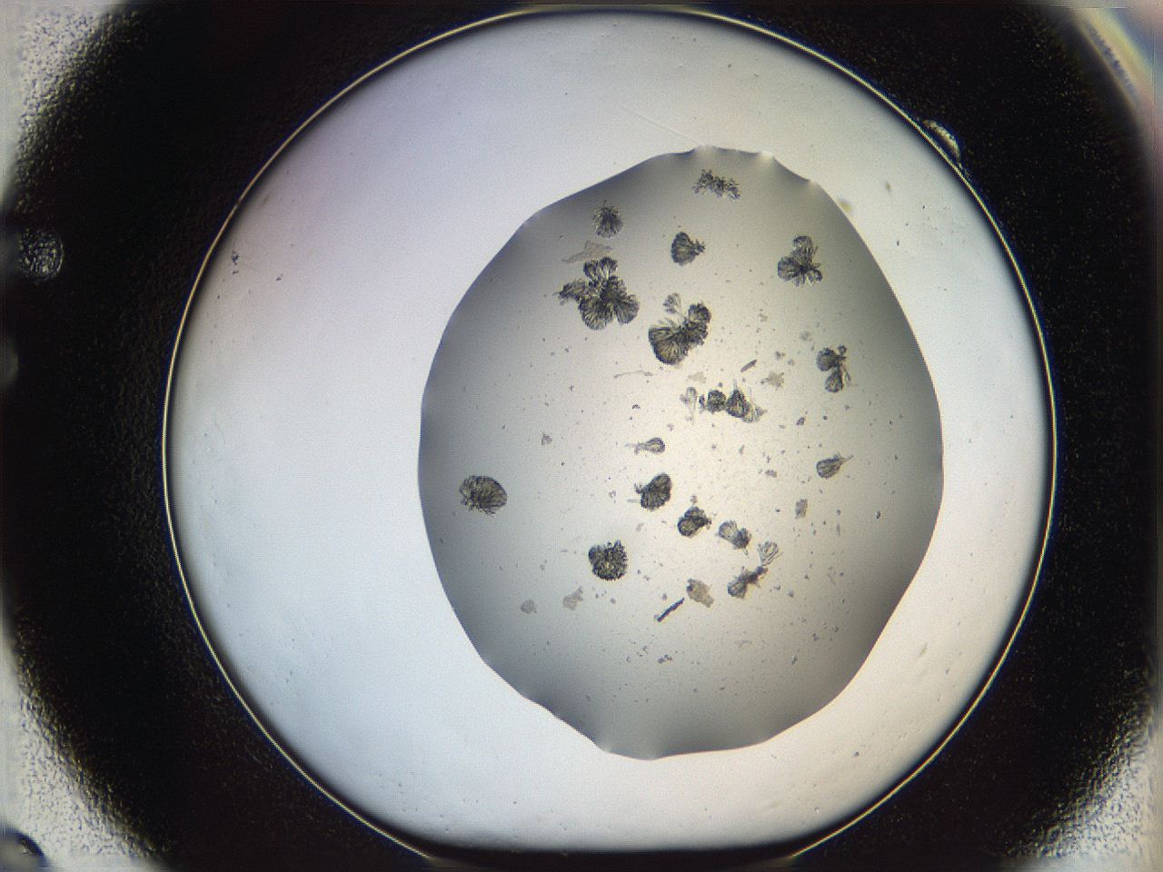 069c_F9_ImagerDefaults_6.jpg