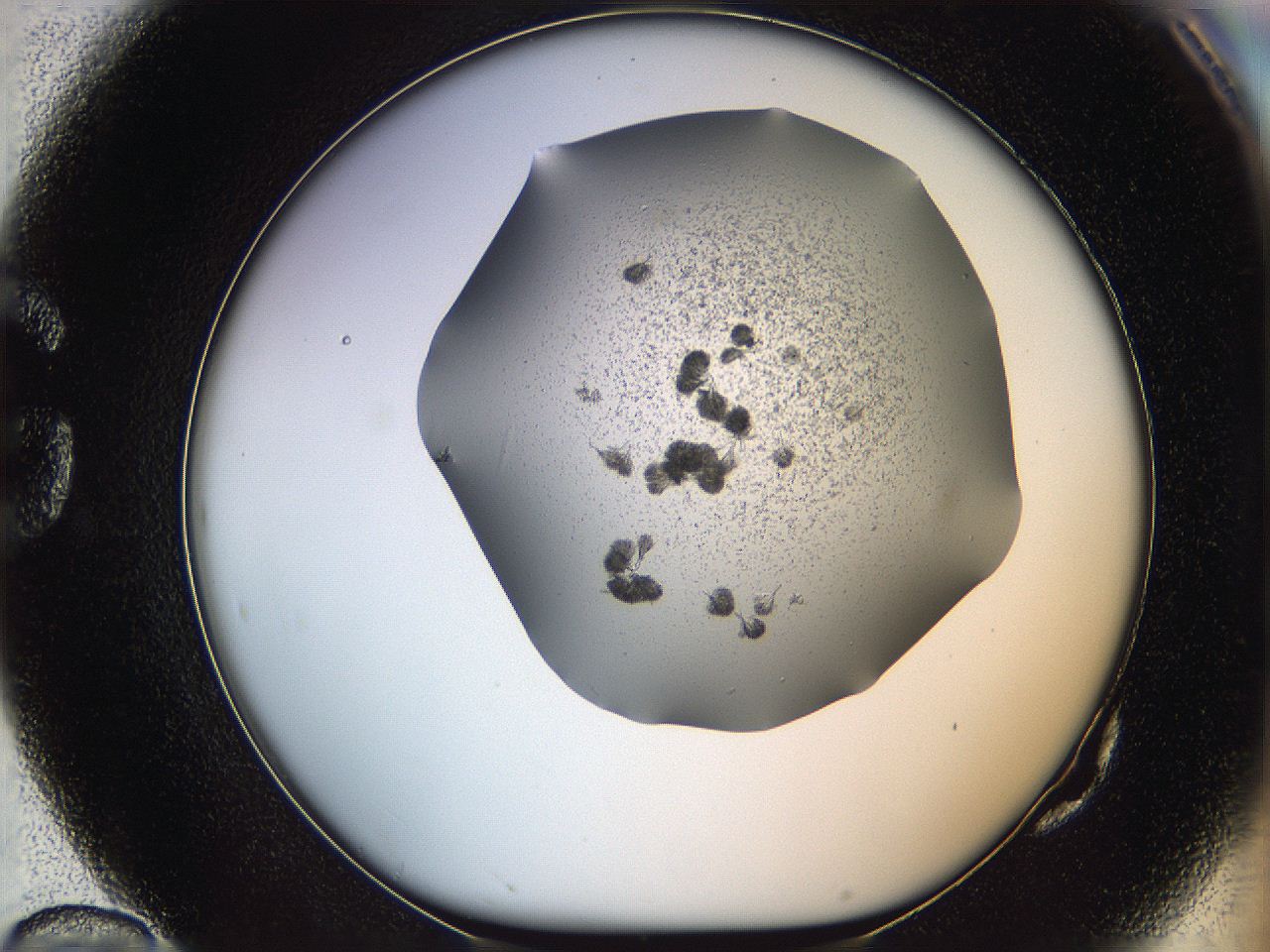 069c_G10_ImagerDefaults_6.jpg