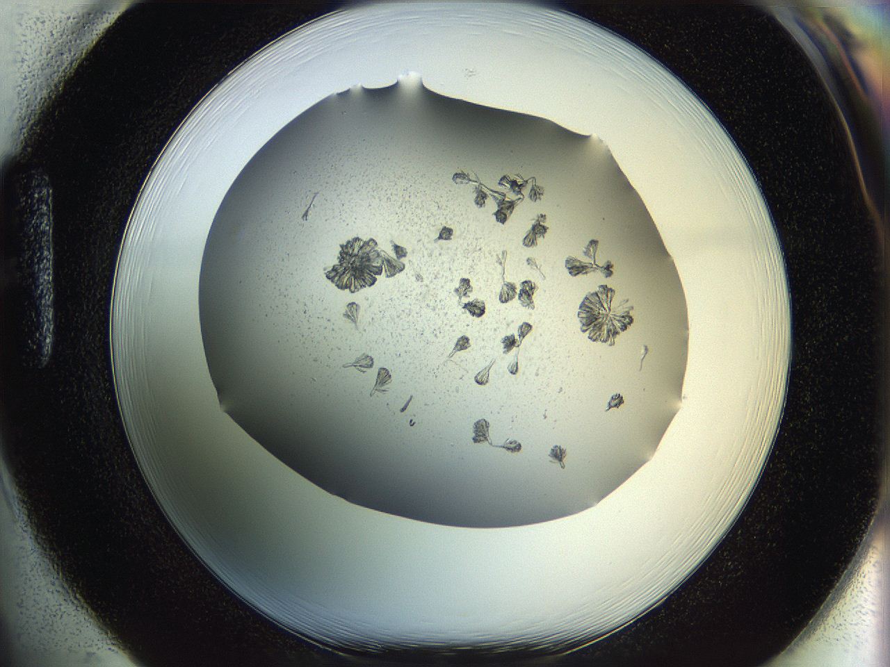 069c_H1_ImagerDefaults_6.jpg