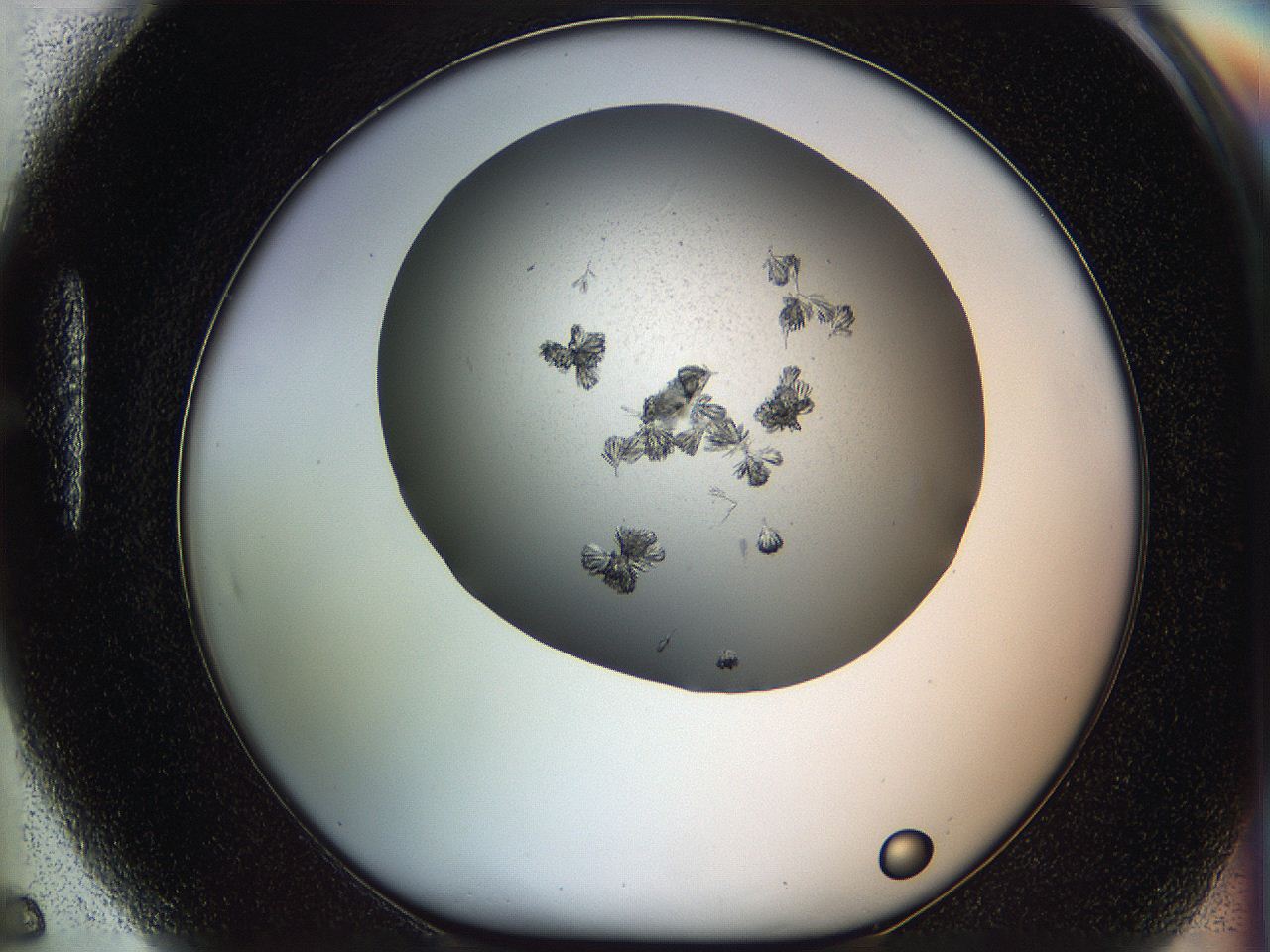 069c_H5_ImagerDefaults_6.jpg