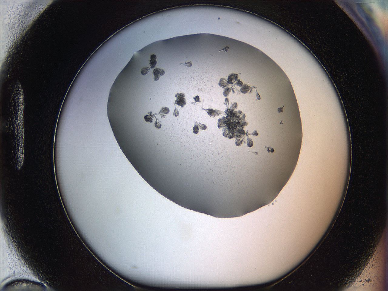 069c_H10_ImagerDefaults_6.jpg