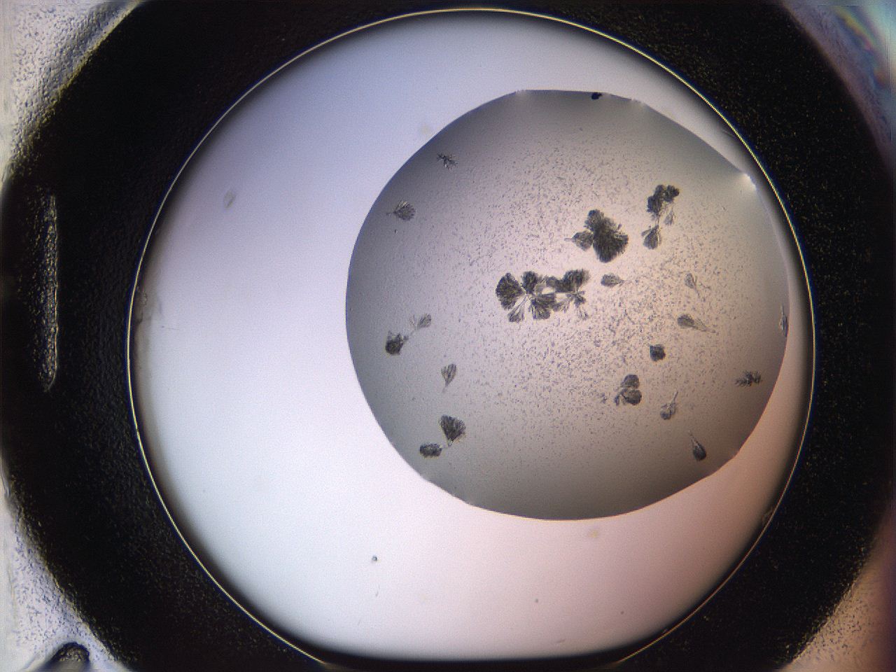 069c_H11_ImagerDefaults_6.jpg
