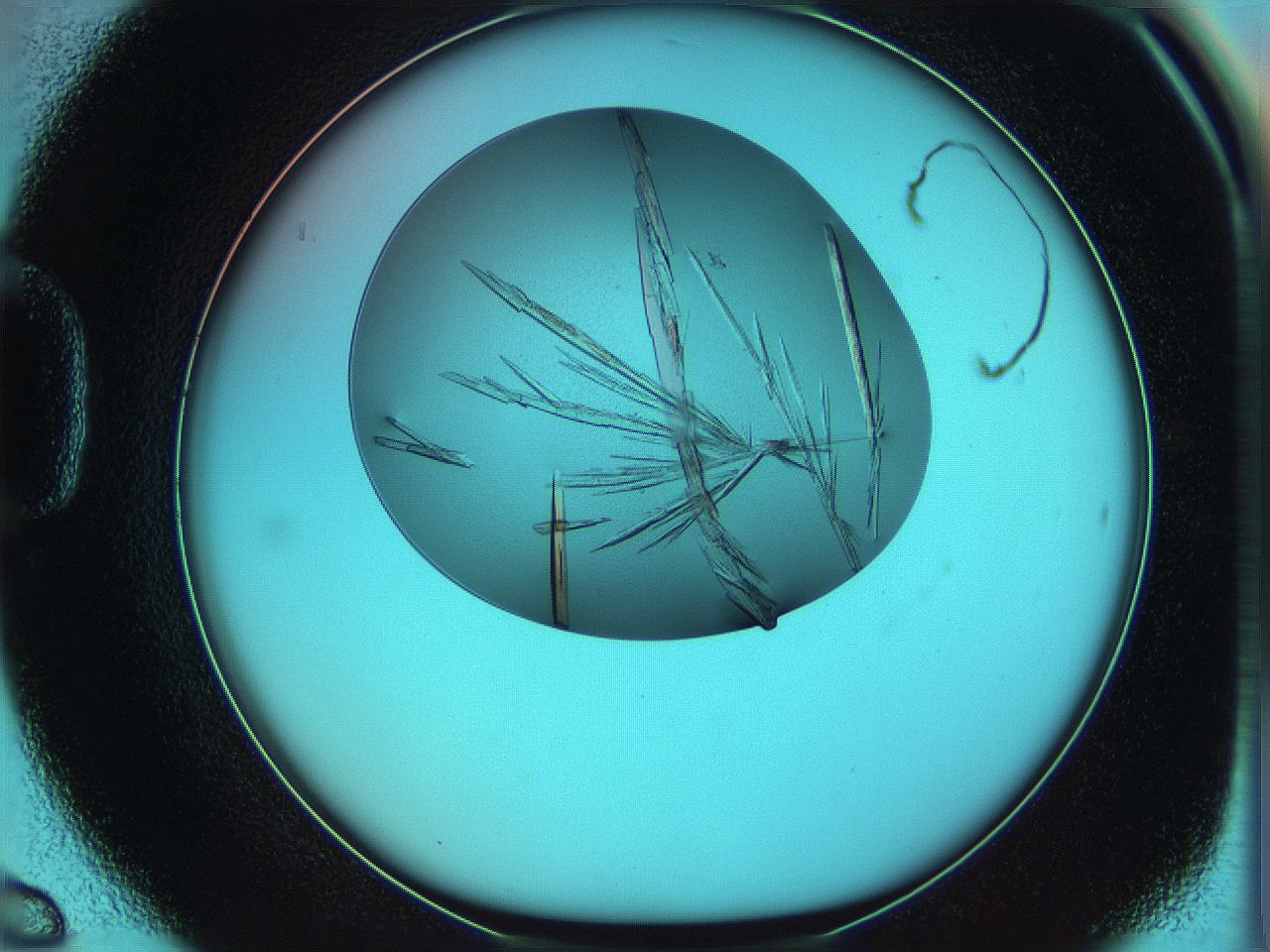 069d_D6_ImagerDefaults_9.jpg