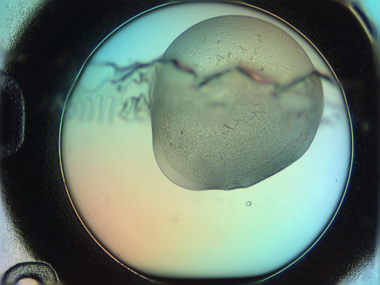 069e_D12_ImagerDefaults_7.jpg