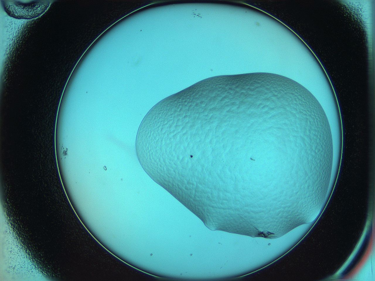 069f_B10_ImagerDefaults_9.jpg