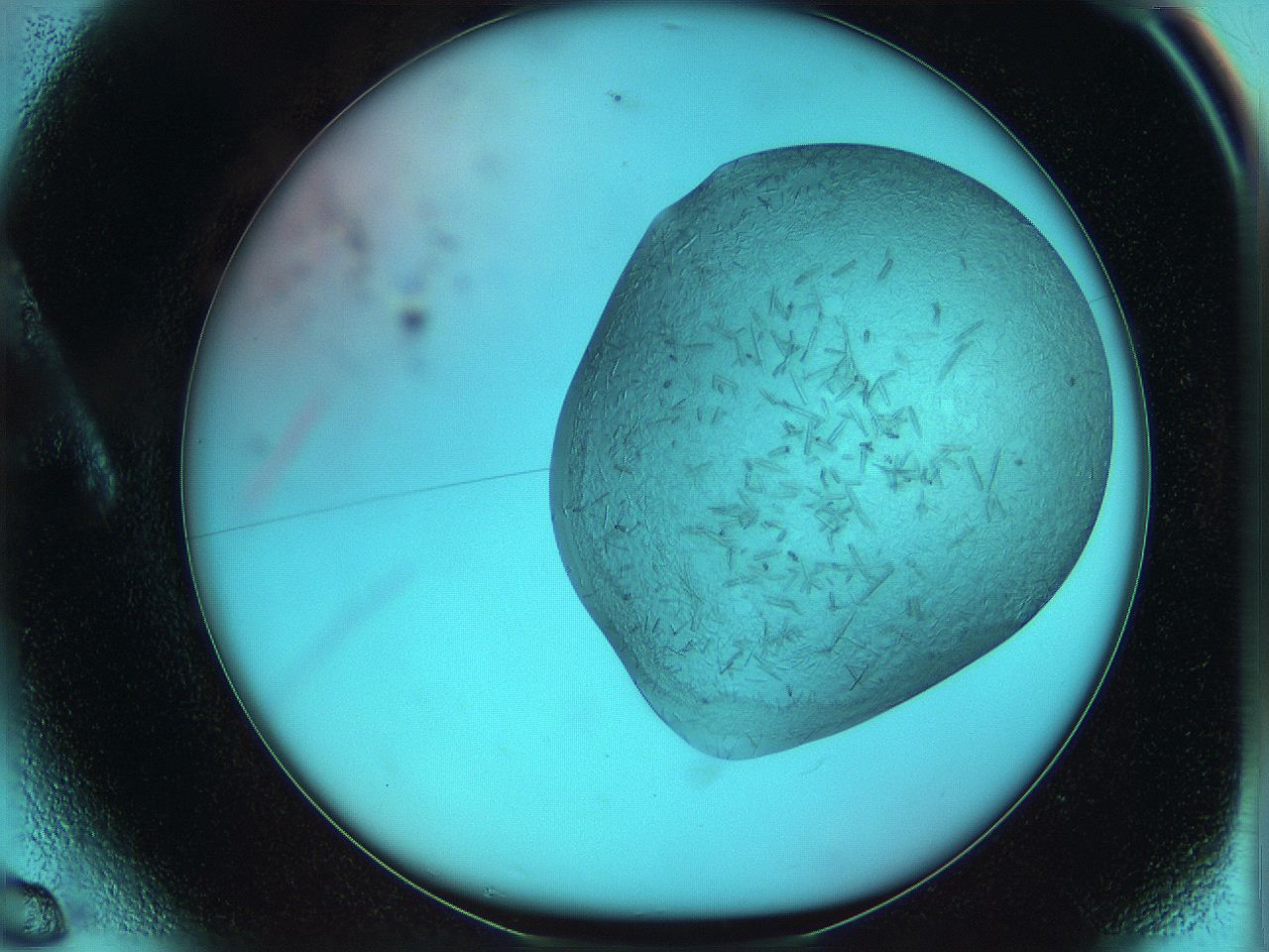 069f_A6_ImagerDefaults_9.jpg