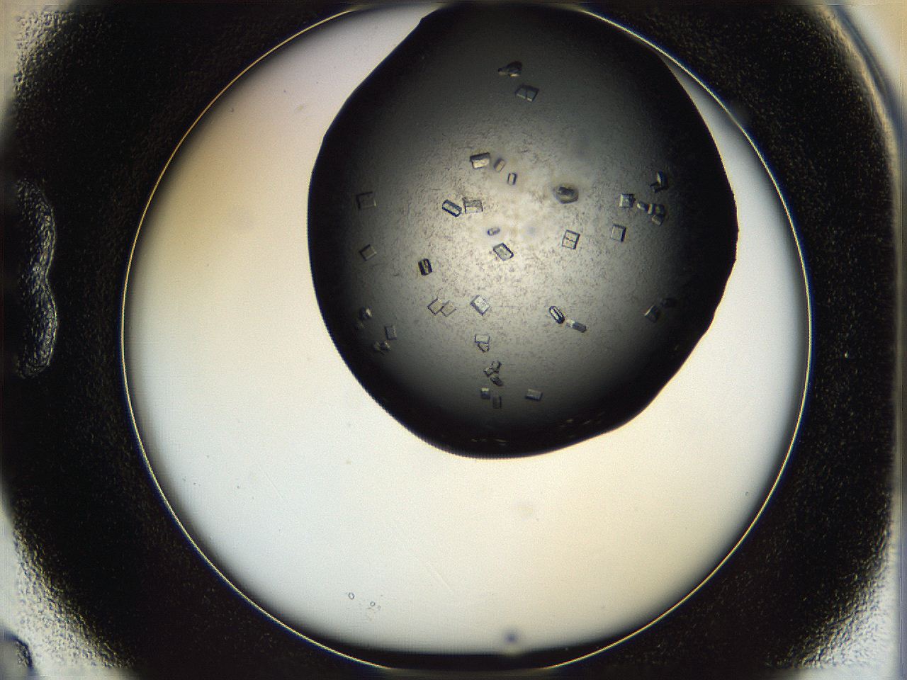 069k_B3_ImagerDefaults_9.jpg