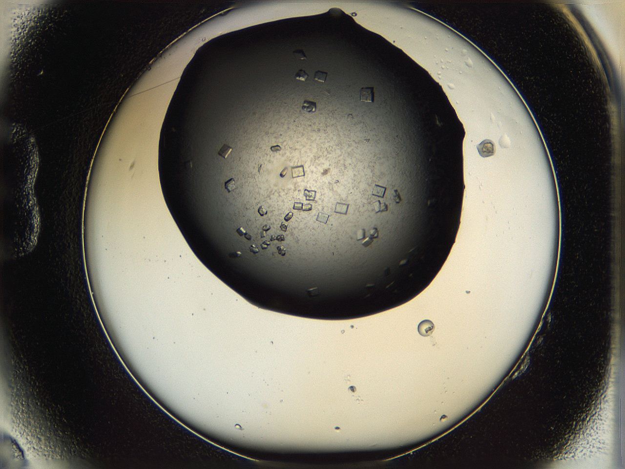 069k_B2_ImagerDefaults_9.jpg