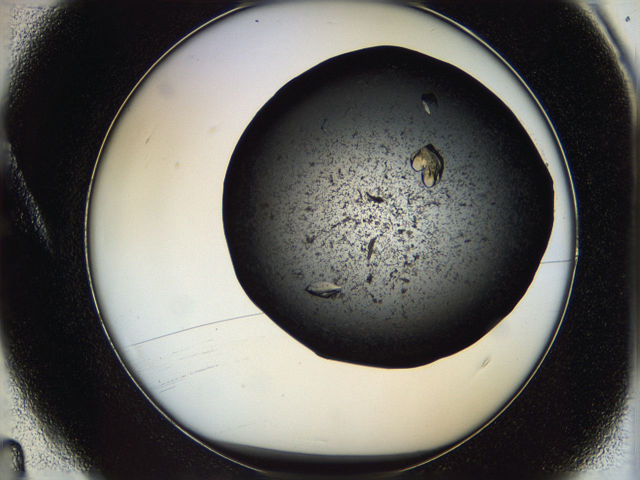 069k_A4_ImagerDefaults_9.jpg