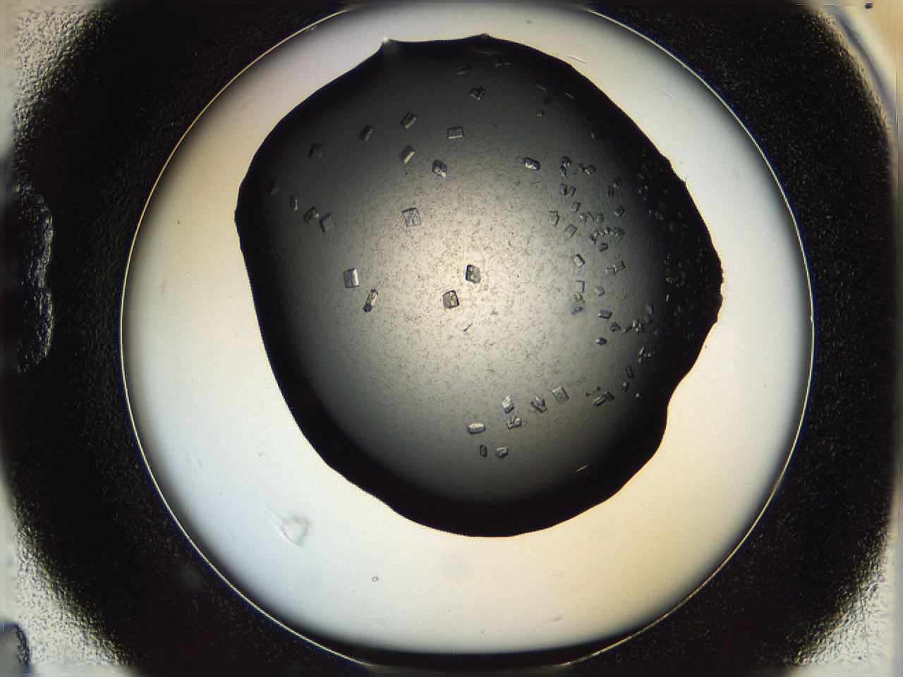 069k_B4_ImagerDefaults_8.jpg
