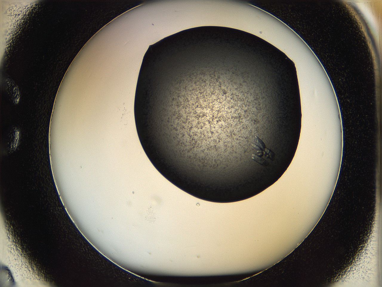 069l_C2_ImagerDefaults_9.jpg