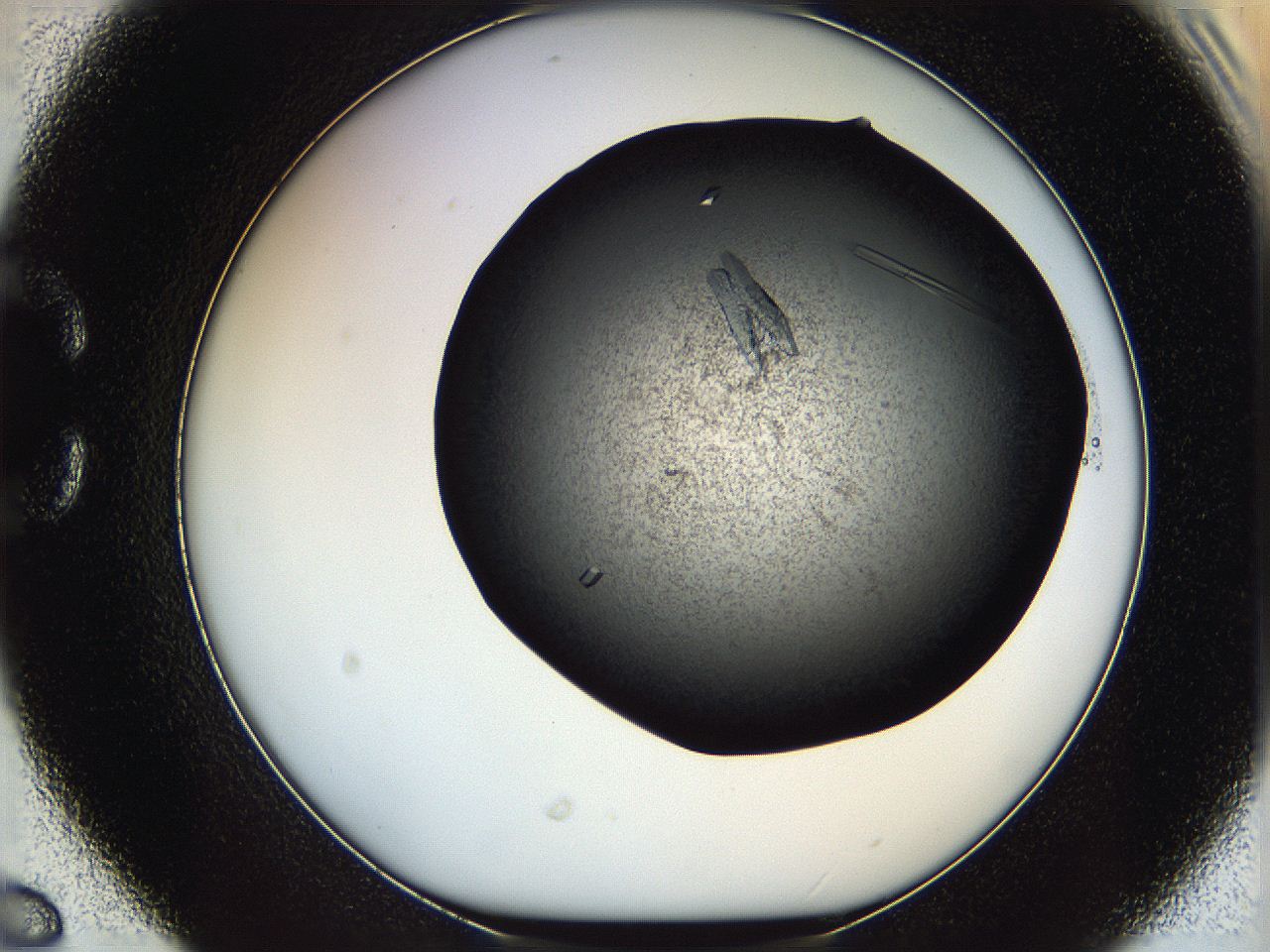 069l_C6_ImagerDefaults_9.jpg