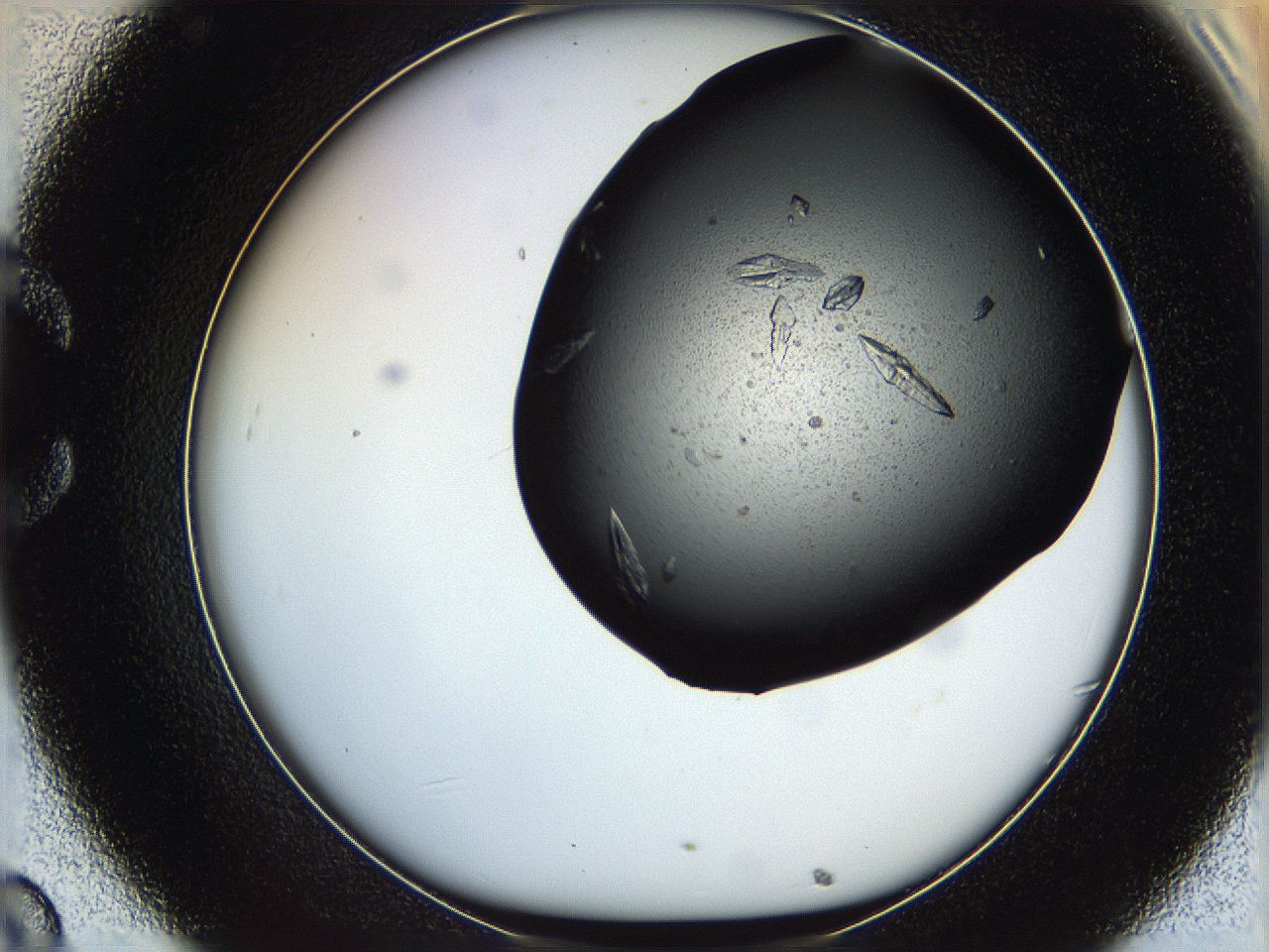 069l_C8_ImagerDefaults_9.jpg