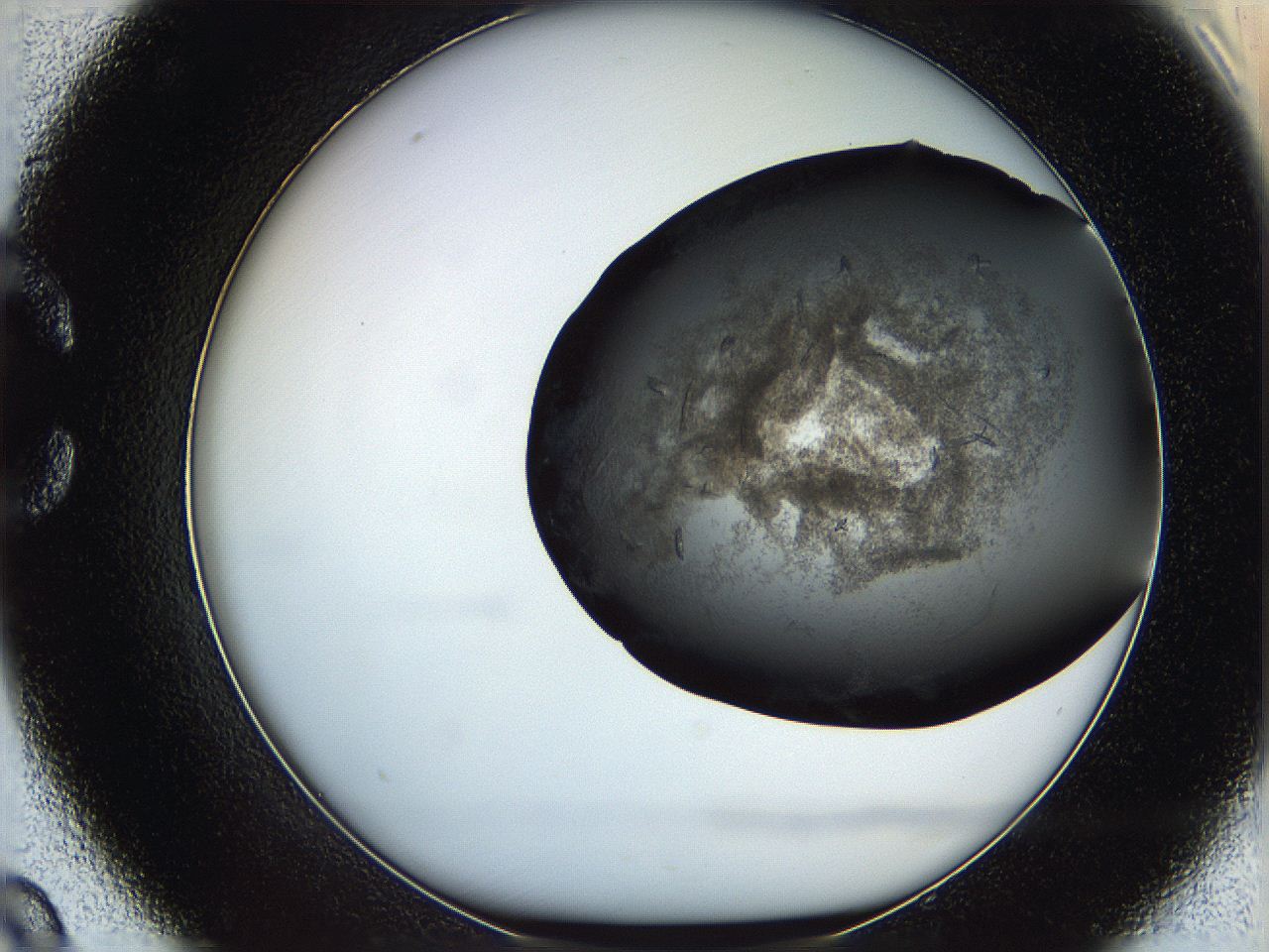 069l_C9_ImagerDefaults_7.jpg